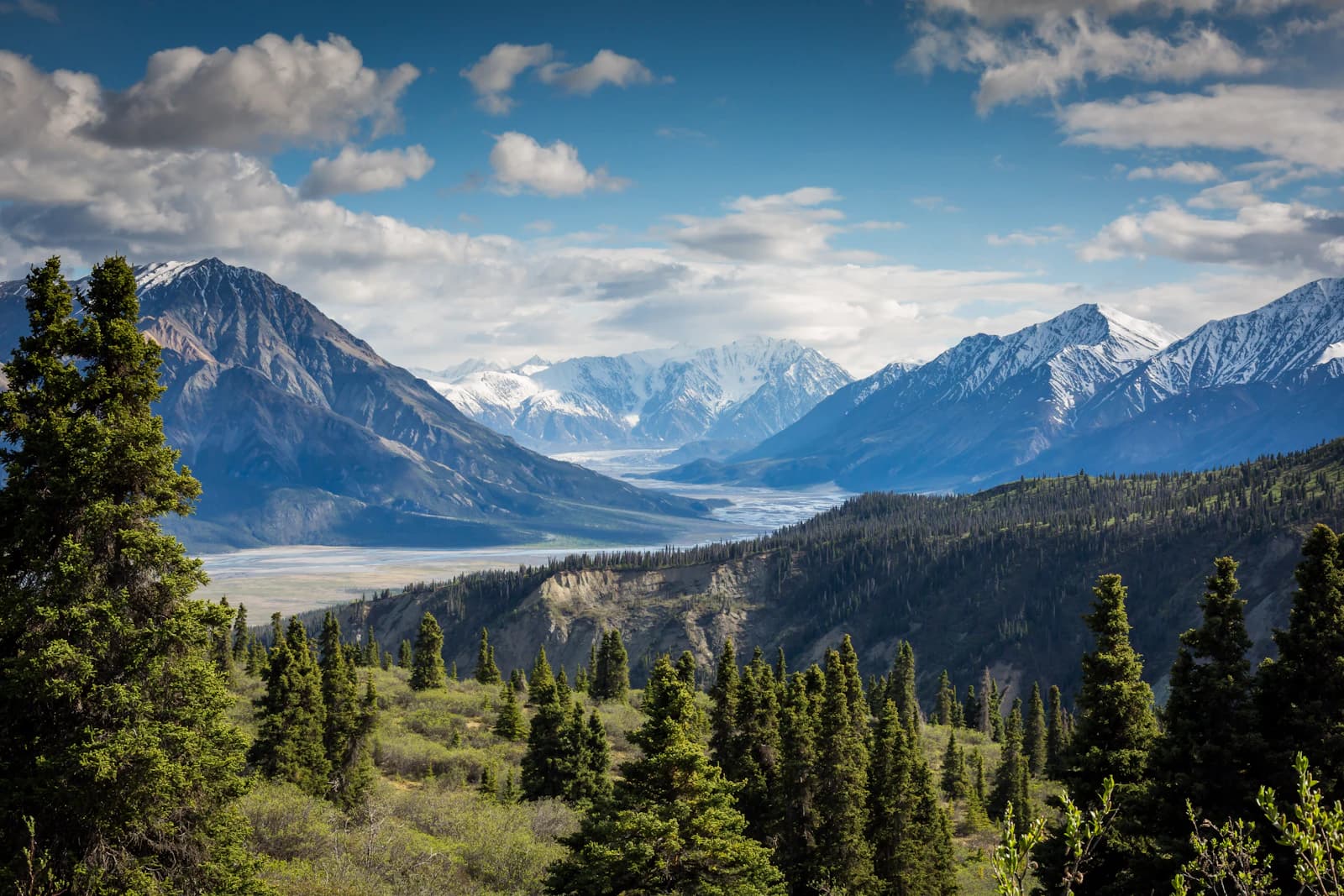 Dramatic mountains above an evergreen forest